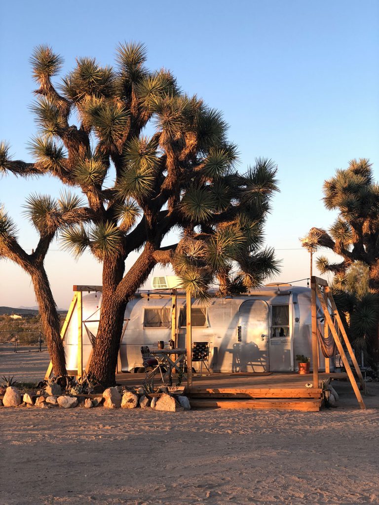 Joshua Tree National Park